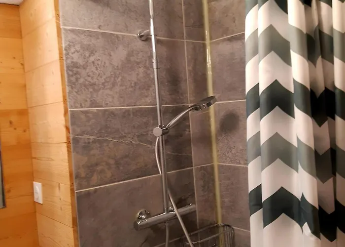 Renove 4 Pers, Animaux Acceptes, Parking Prive - Fr-1-516-154 * Les Deux Alpes