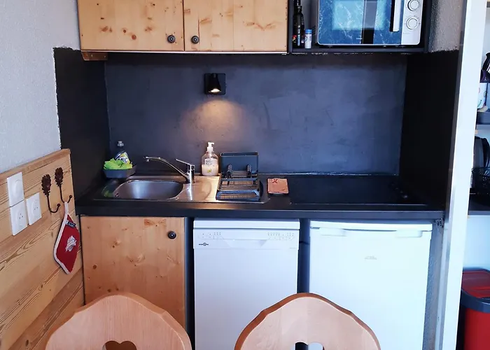 Apartment Renove 4 Pers, Animaux Acceptes, Parking Prive - Fr-1-516-154 *